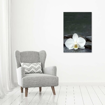 Wall art canvas large Orchid stones