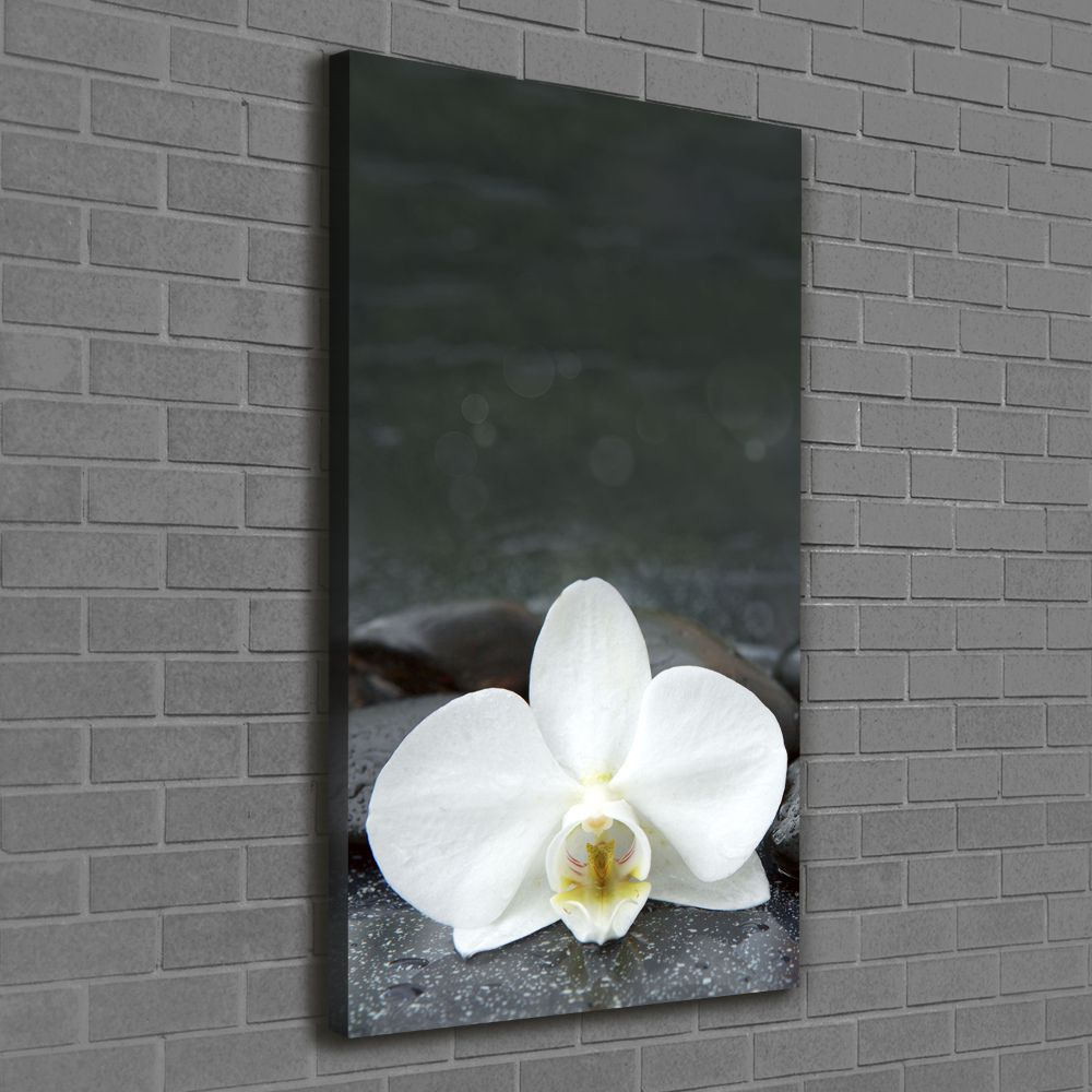 Wall art canvas large Orchid stones