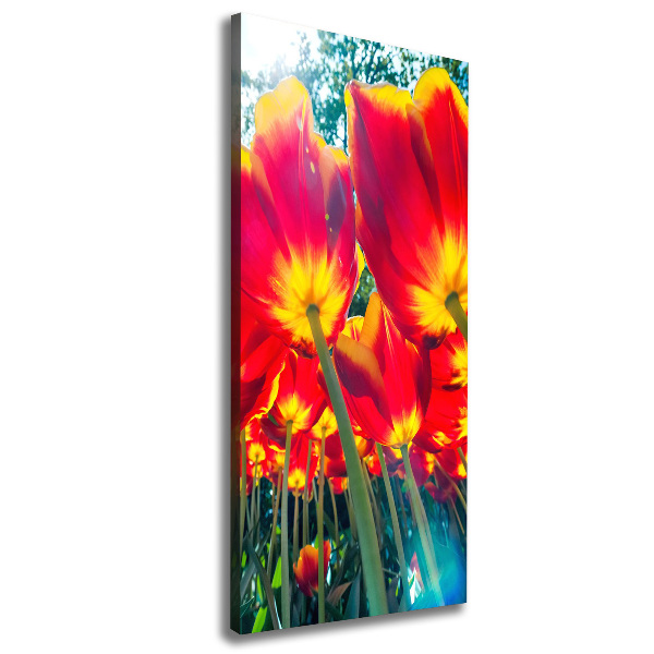 Canvas wall art Red tulips