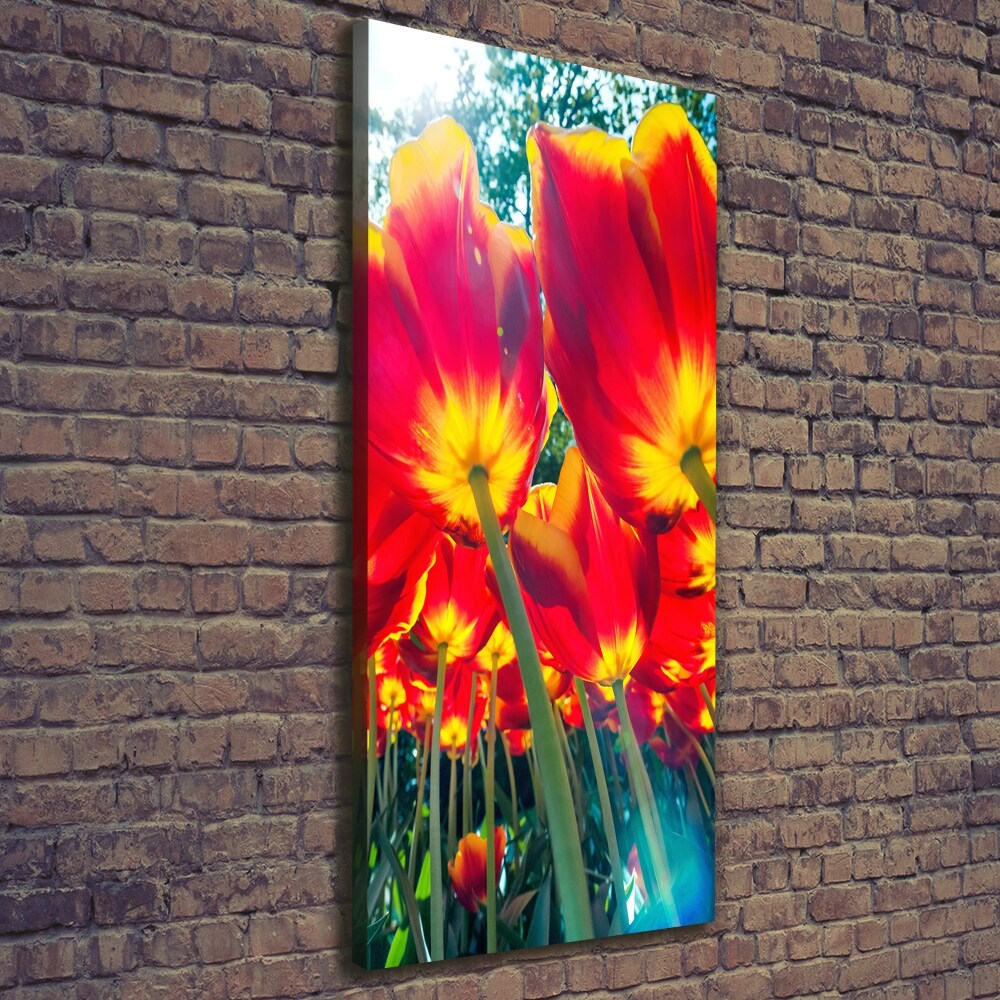 Canvas wall art Red tulips