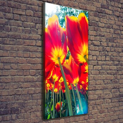 Canvas wall art Red tulips