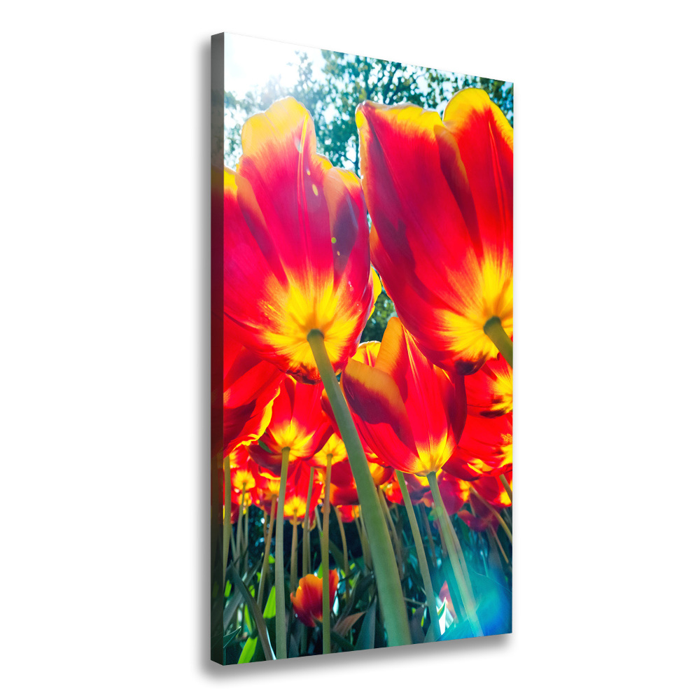 Canvas wall art Red tulips