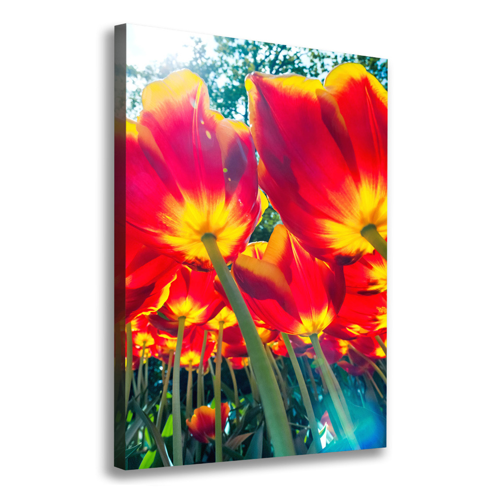 Canvas wall art Red tulips