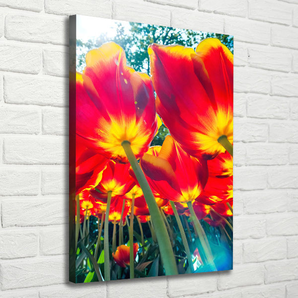 Canvas wall art Red tulips