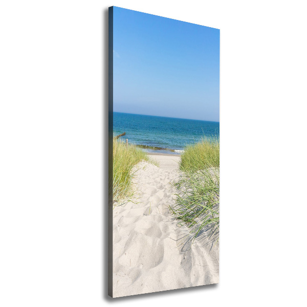 Large canvas wall art Coastal dunes