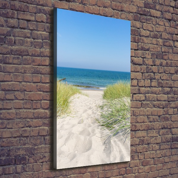 Large canvas wall art Coastal dunes