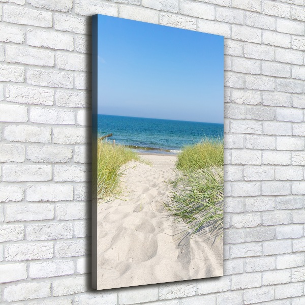 Large canvas wall art Coastal dunes