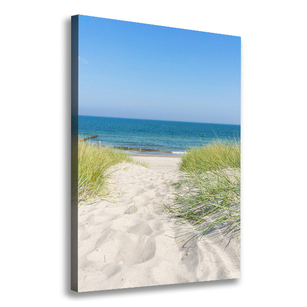 Large canvas wall art Coastal dunes