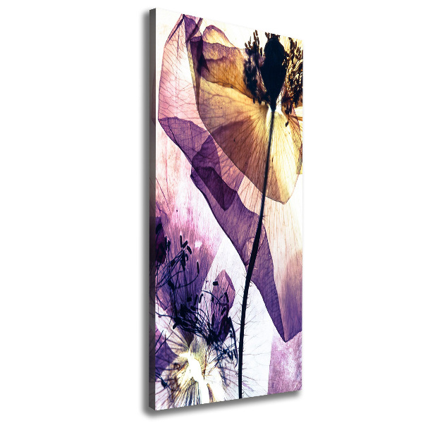 Canvas wall art Macs