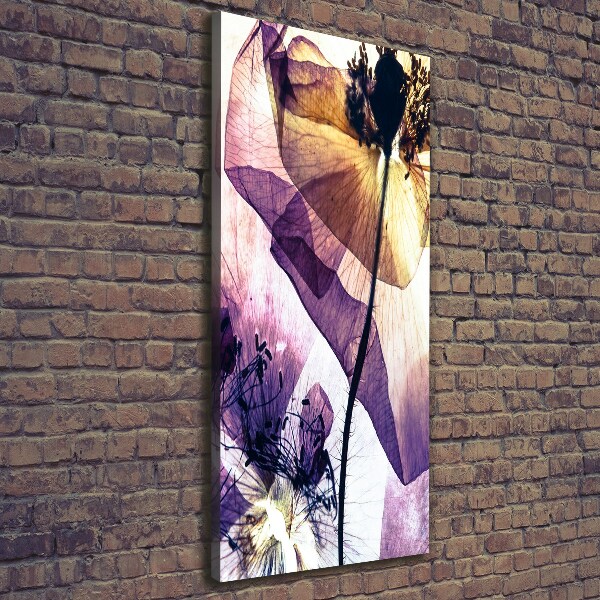 Canvas wall art Macs