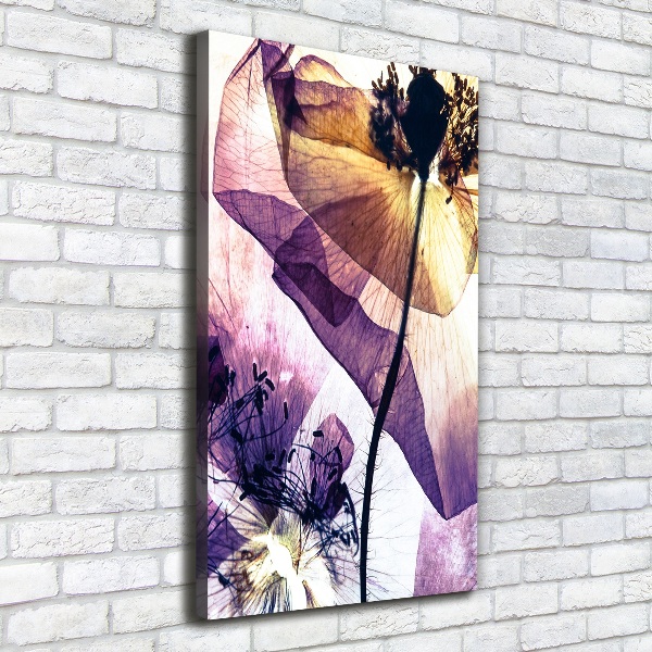 Canvas wall art Macs