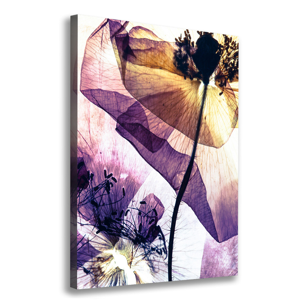 Canvas wall art Macs