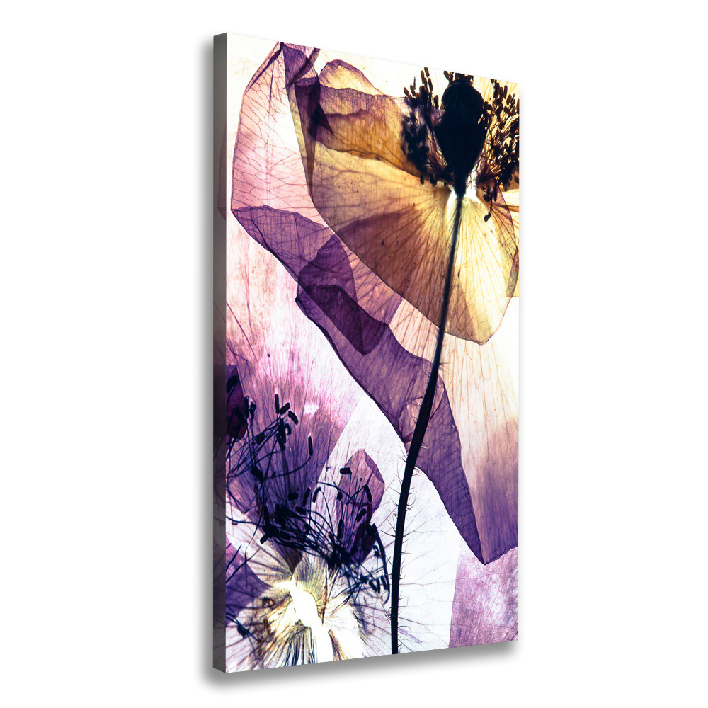 Canvas wall art Macs