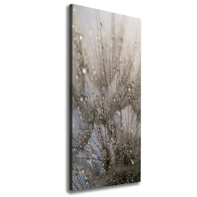 Canvas wall art Dandelion seeds