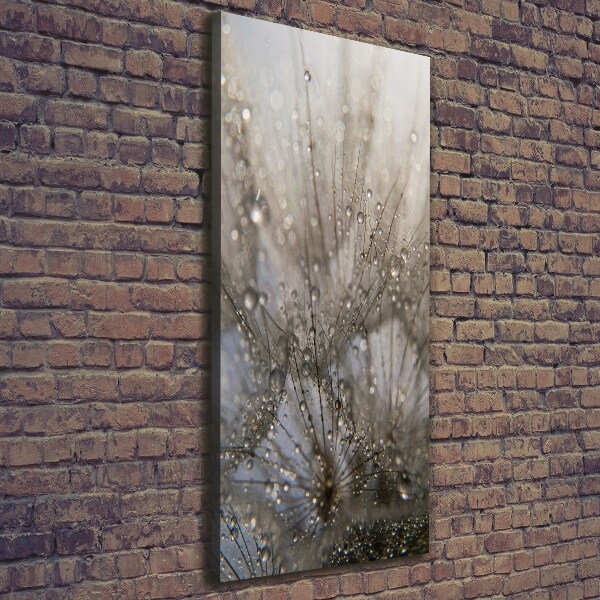 Canvas wall art Dandelion seeds