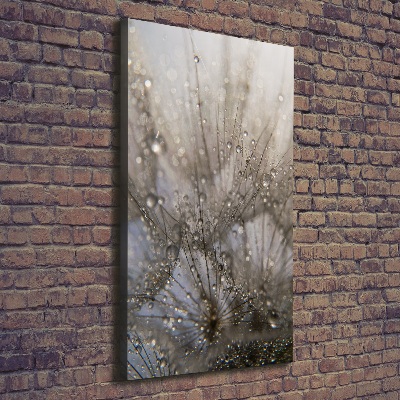 Canvas wall art Dandelion seeds