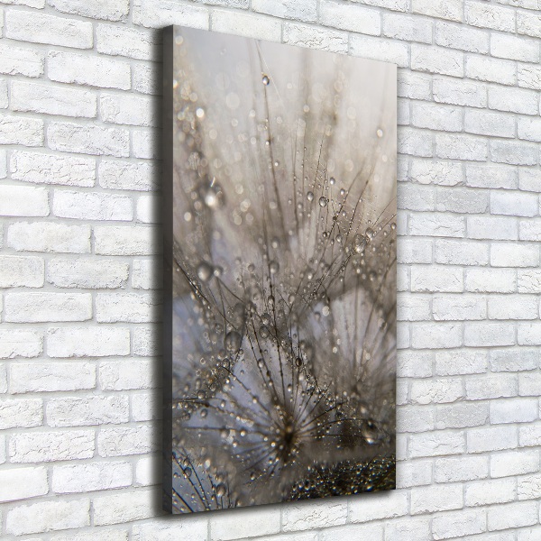 Canvas wall art Dandelion seeds