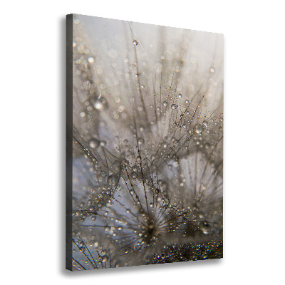 Canvas wall art Dandelion seeds