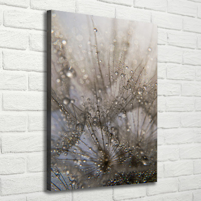 Canvas wall art Dandelion seeds