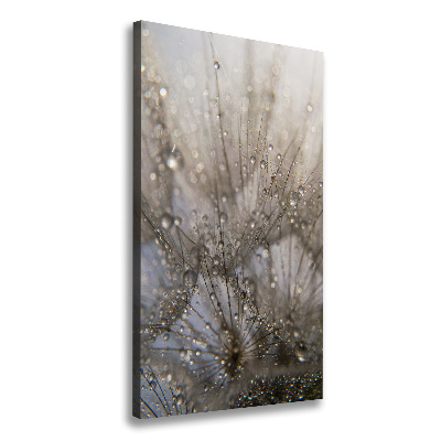 Canvas wall art Dandelion seeds