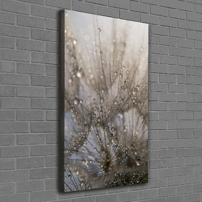 Canvas wall art Dandelion seeds