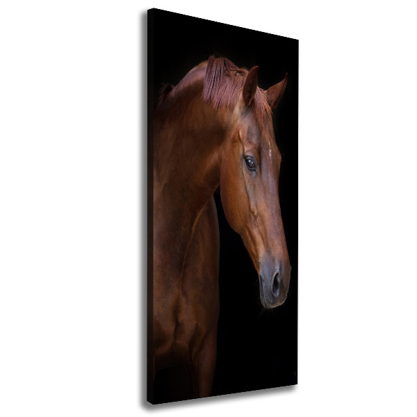 Canvas wall art Portrait of a horse