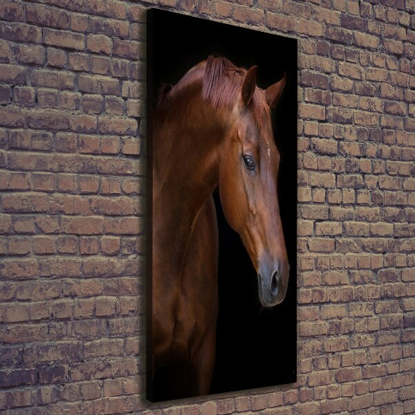 Canvas wall art Portrait of a horse