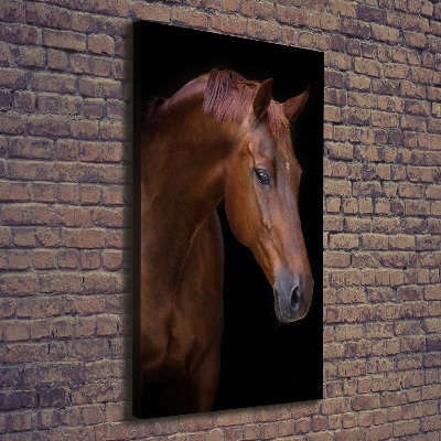 Canvas wall art Portrait of a horse