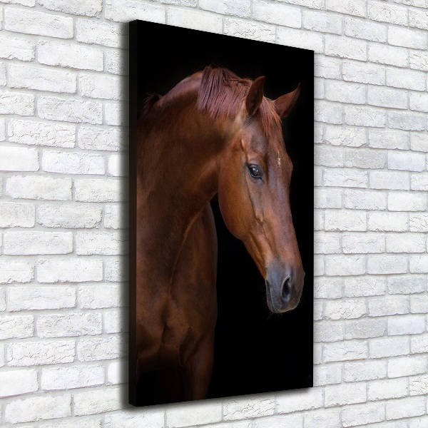 Canvas wall art Portrait of a horse