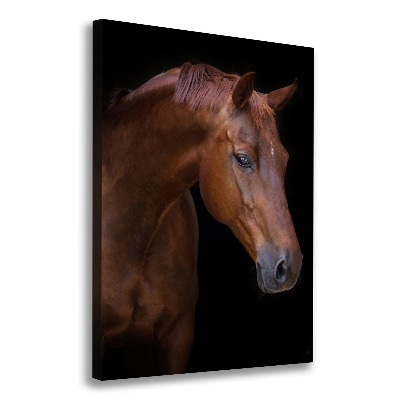 Canvas wall art Portrait of a horse