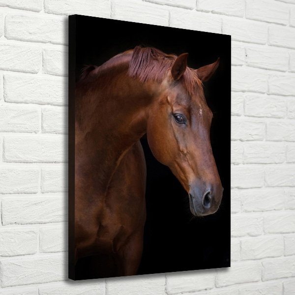 Canvas wall art Portrait of a horse