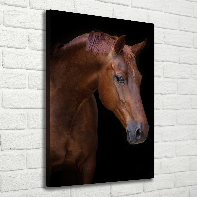 Canvas wall art Portrait of a horse