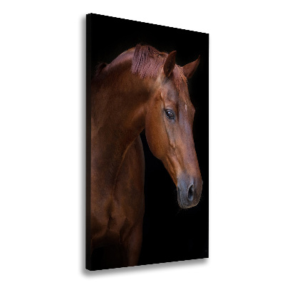 Canvas wall art Portrait of a horse