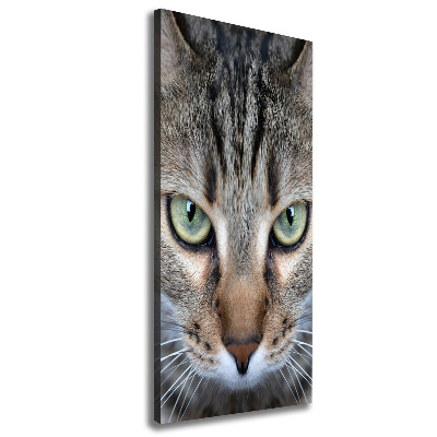 Canvas wall art Cat's eyes