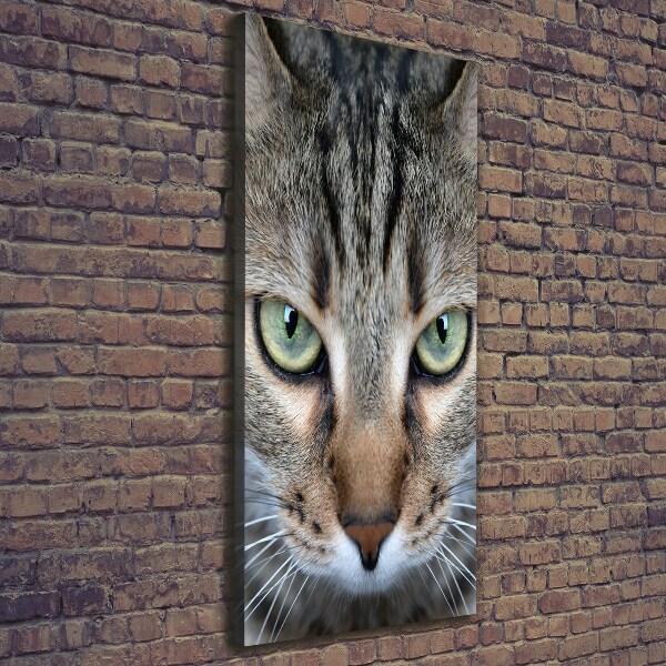 Canvas wall art Cat's eyes