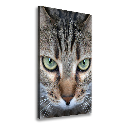 Canvas wall art Cat's eyes