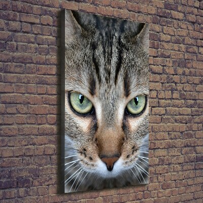 Canvas wall art Cat's eyes