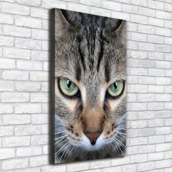 Canvas wall art Cat's eyes