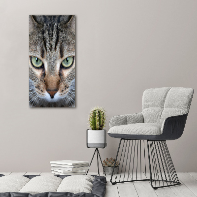 Canvas wall art Cat's eyes