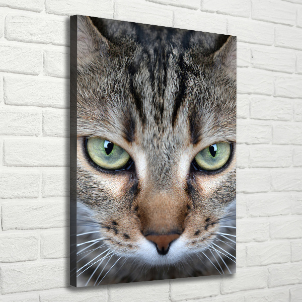 Canvas wall art Cat's eyes