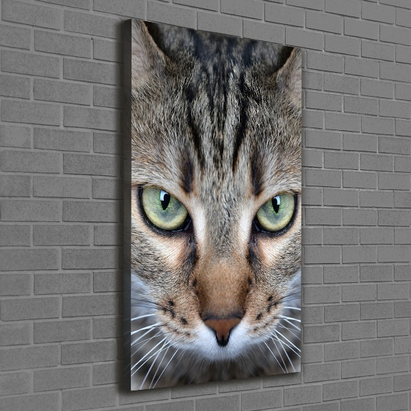 Canvas wall art Cat's eyes