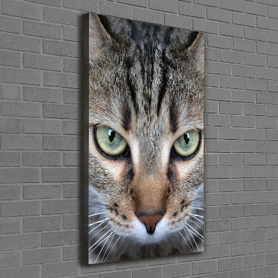 Canvas wall art Cat's eyes