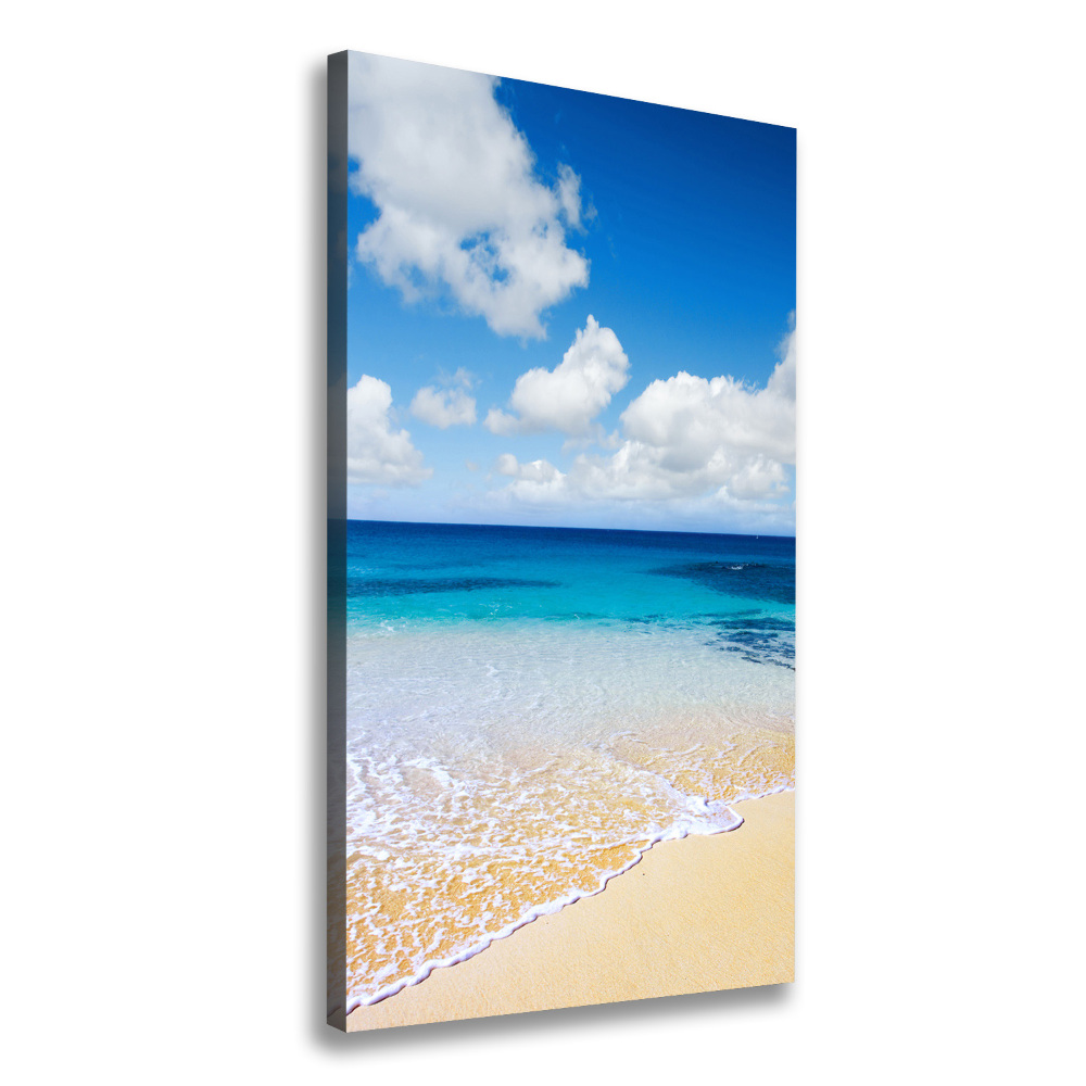 Canvas wall art Tropical beach