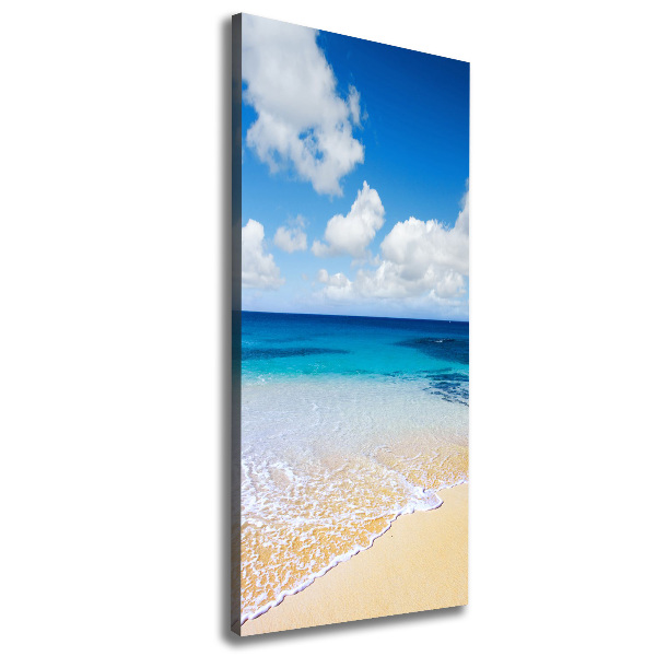 Canvas wall art Tropical beach