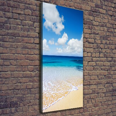 Canvas wall art Tropical beach