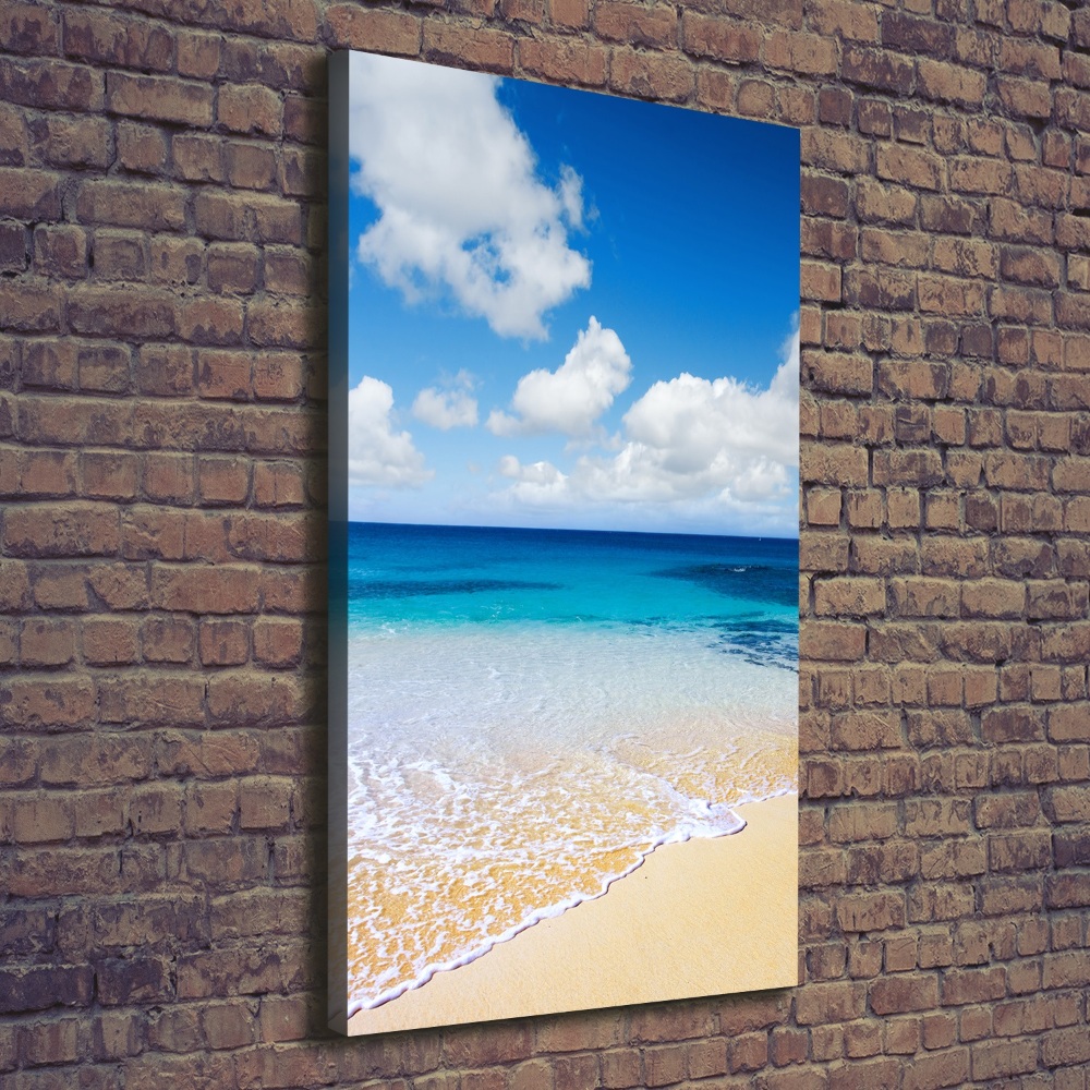 Canvas wall art Tropical beach