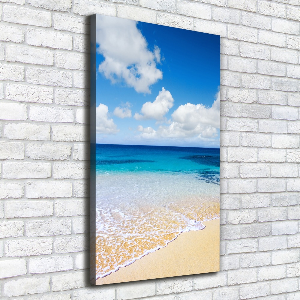 Canvas wall art Tropical beach