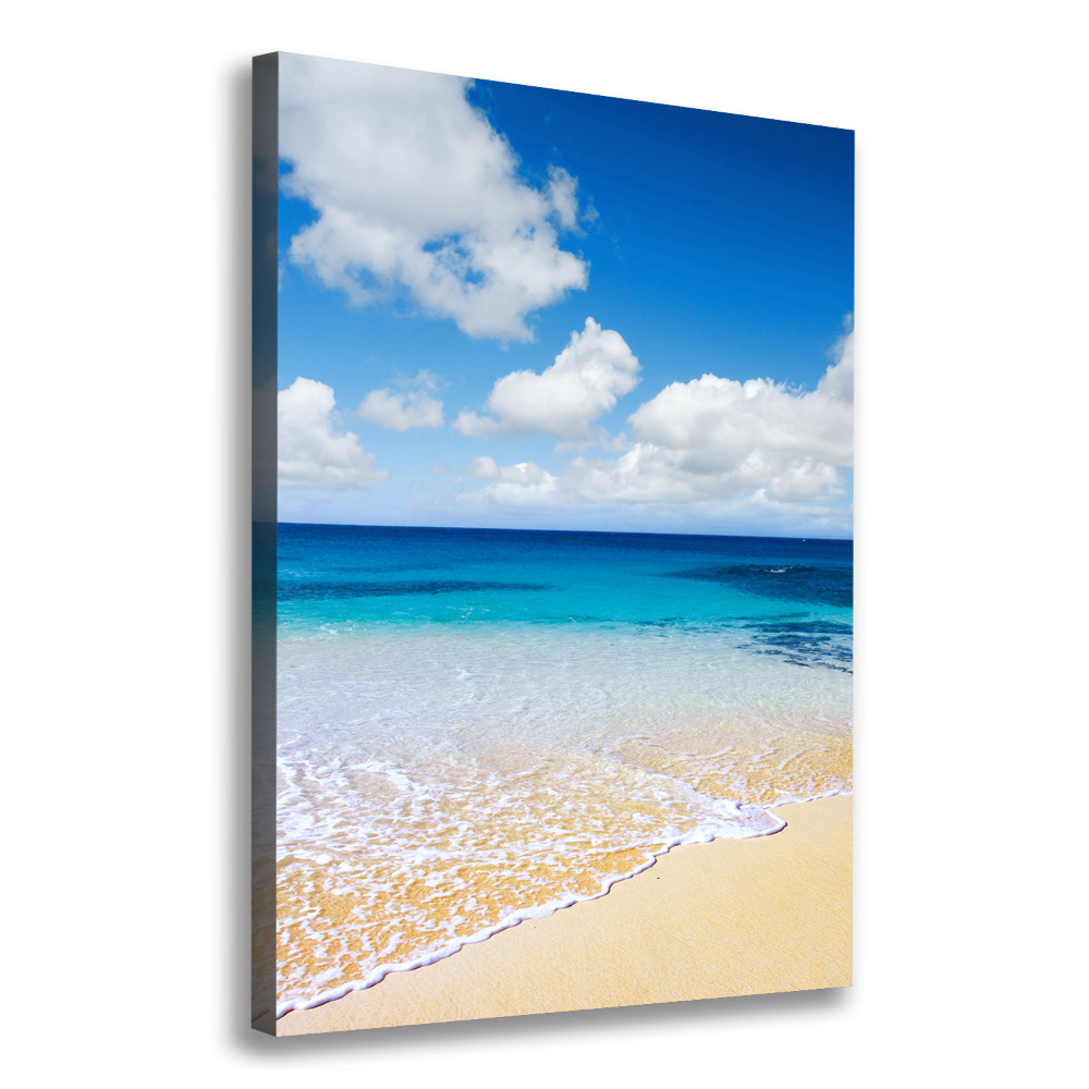 Canvas wall art Tropical beach