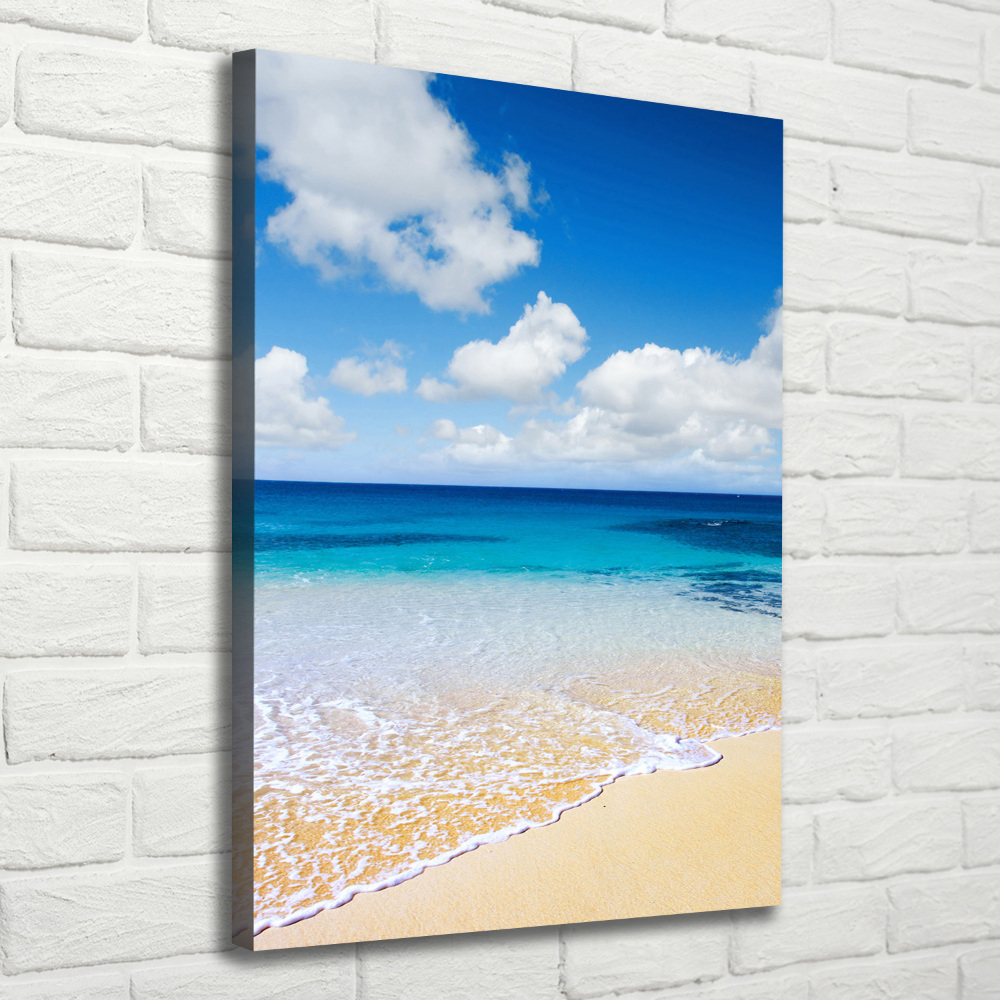 Canvas wall art Tropical beach