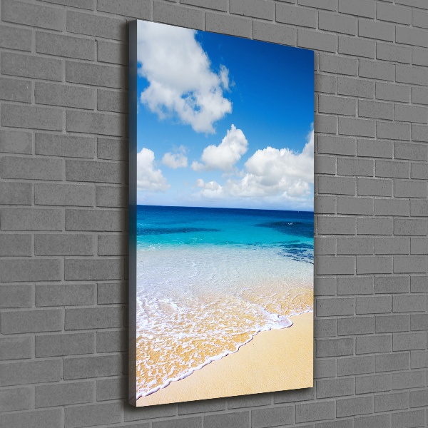 Canvas wall art Tropical beach